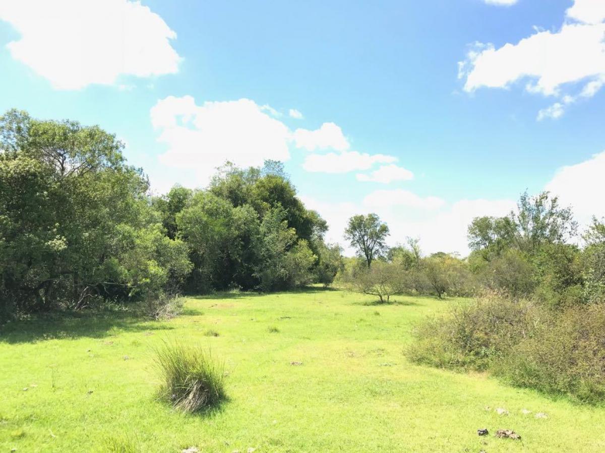 Fazenda com 1.190 ha a venda