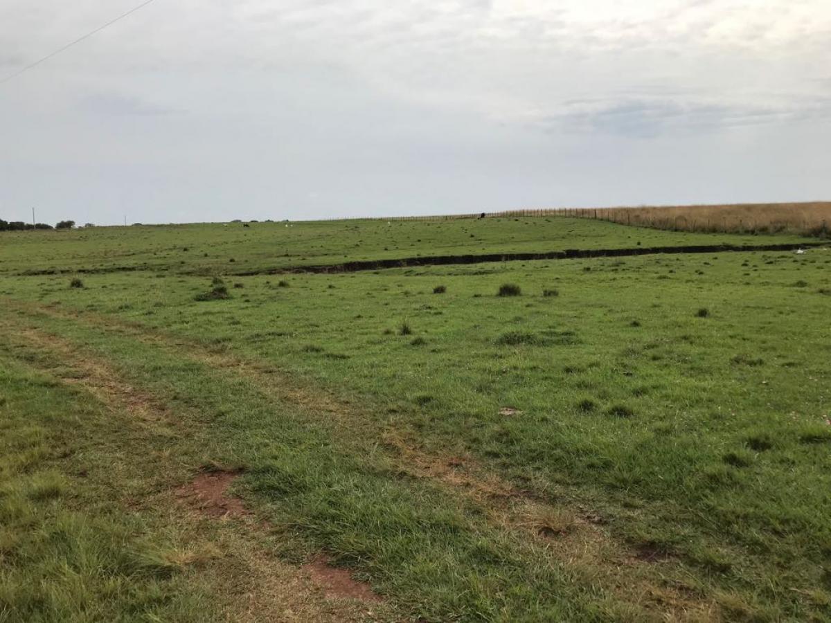 Fazenda de 2.144 ha a venda