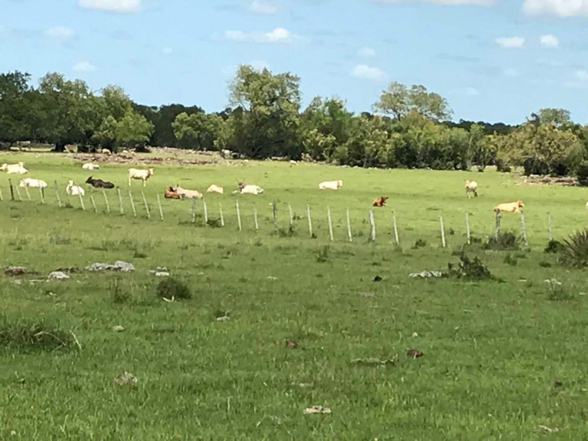 Fazenda de 2.124 ha a venda