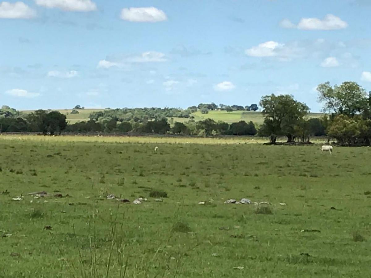 Fazenda de 2.124 ha a venda