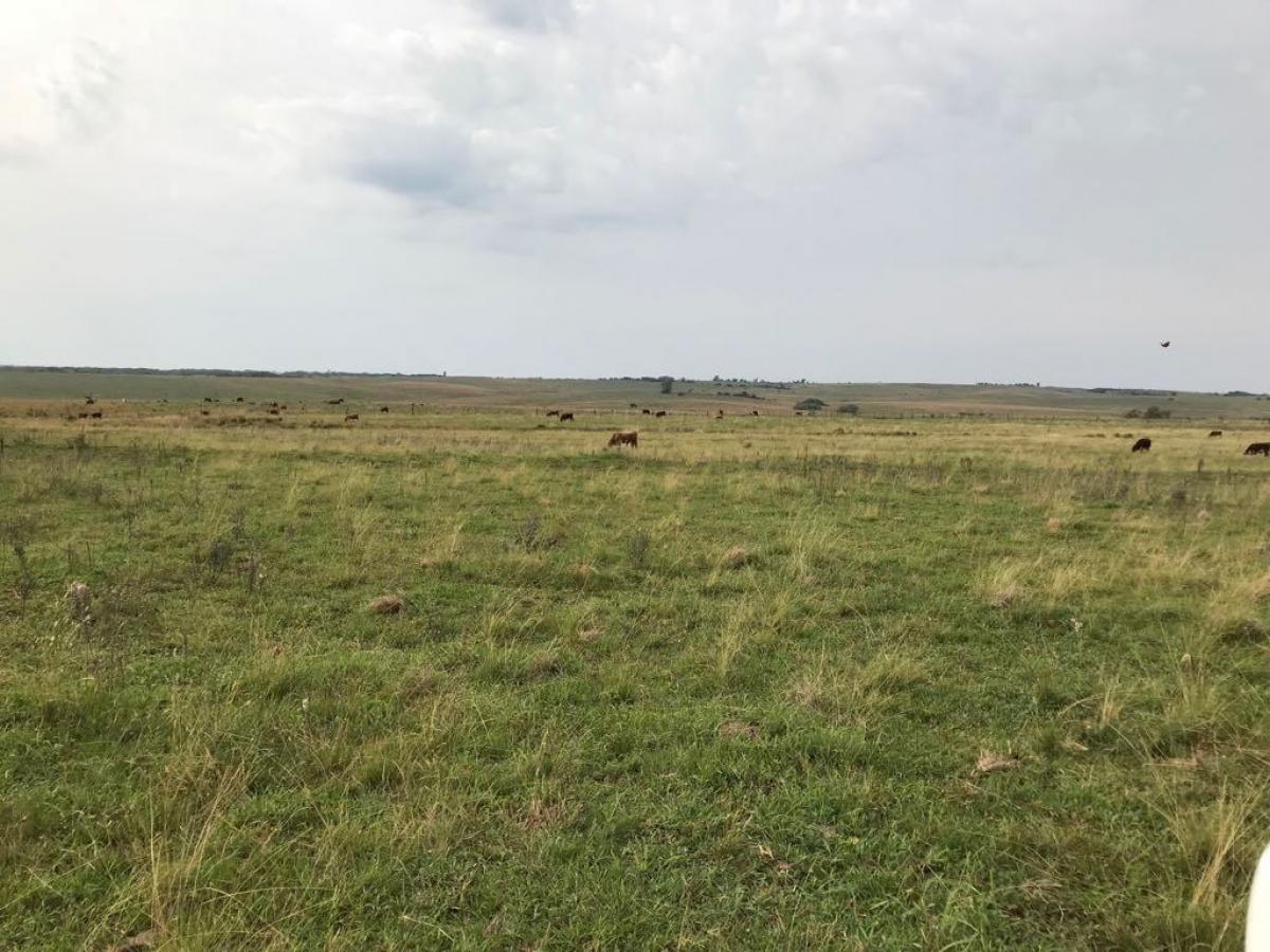 Fazenda de 2.144 ha a venda