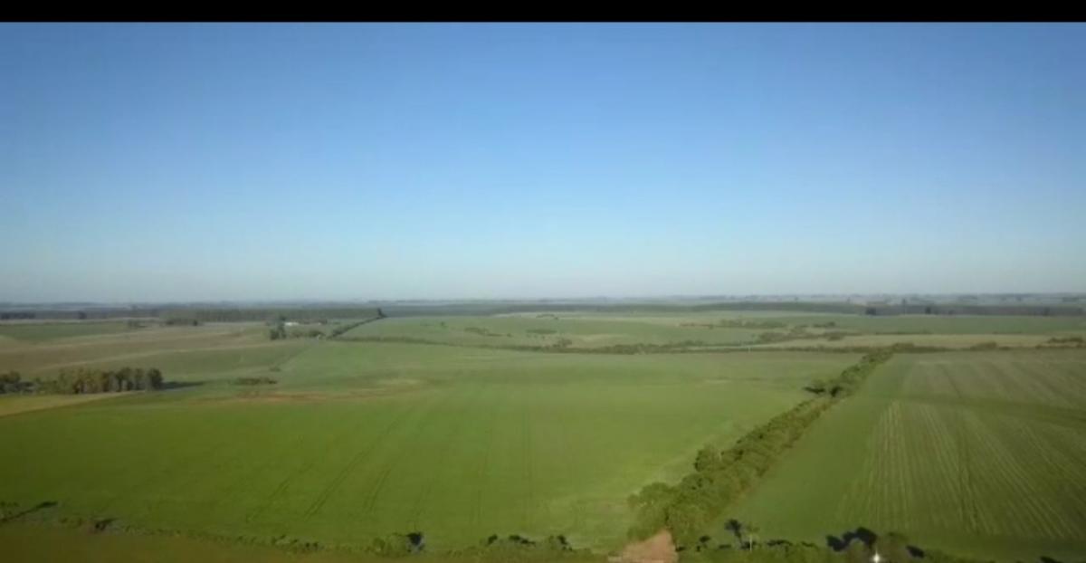 2.700 ha a venda