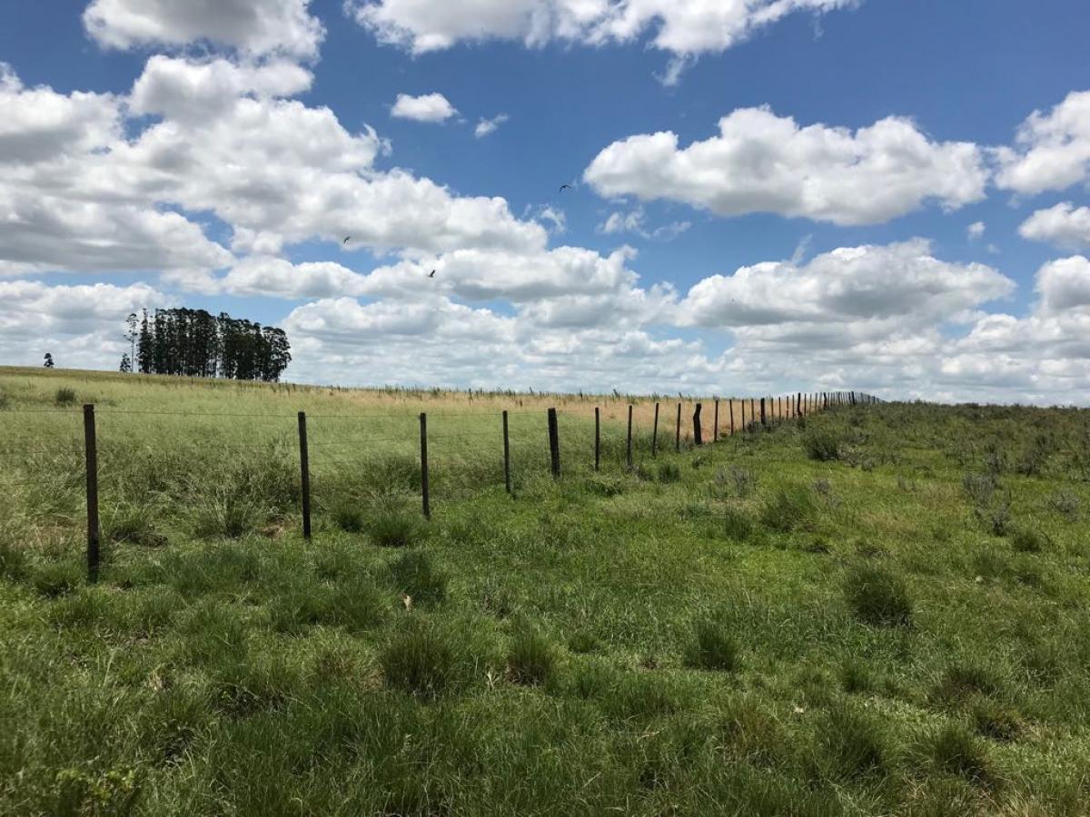 Fazenda de 2.144 ha a venda