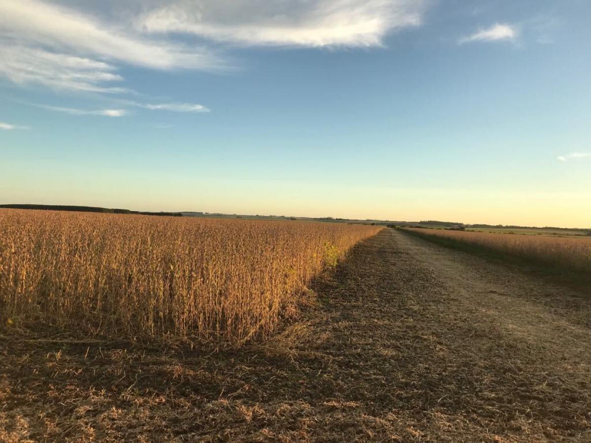 2.700 ha a venda