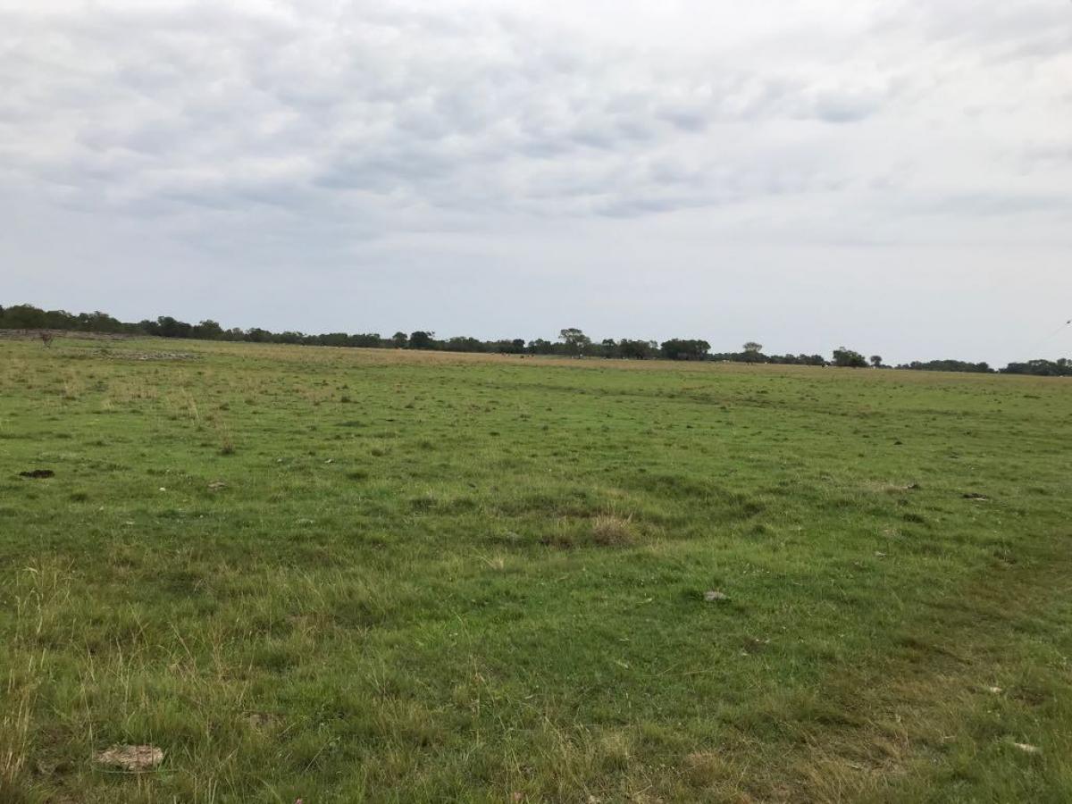 Fazenda com 1.190 ha a venda