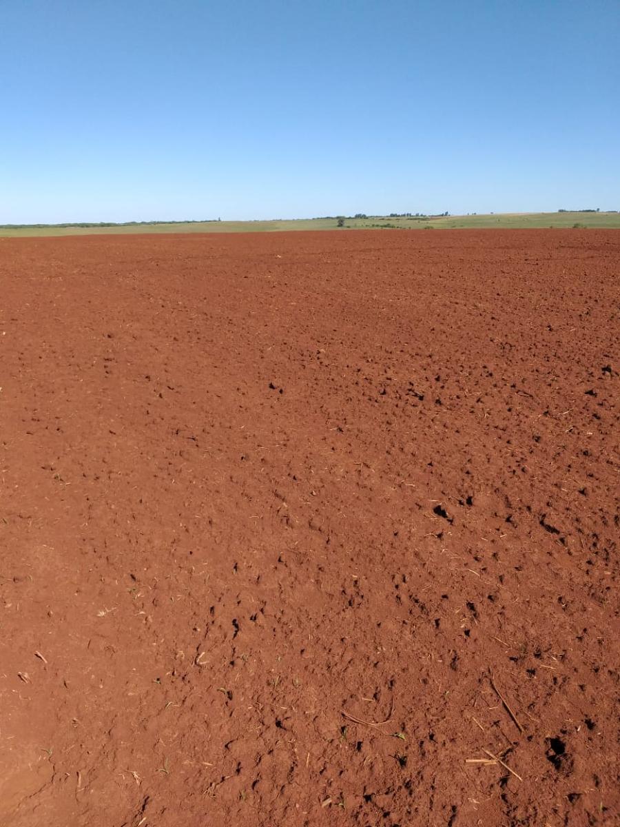 Fazenda com 950 ha a venda