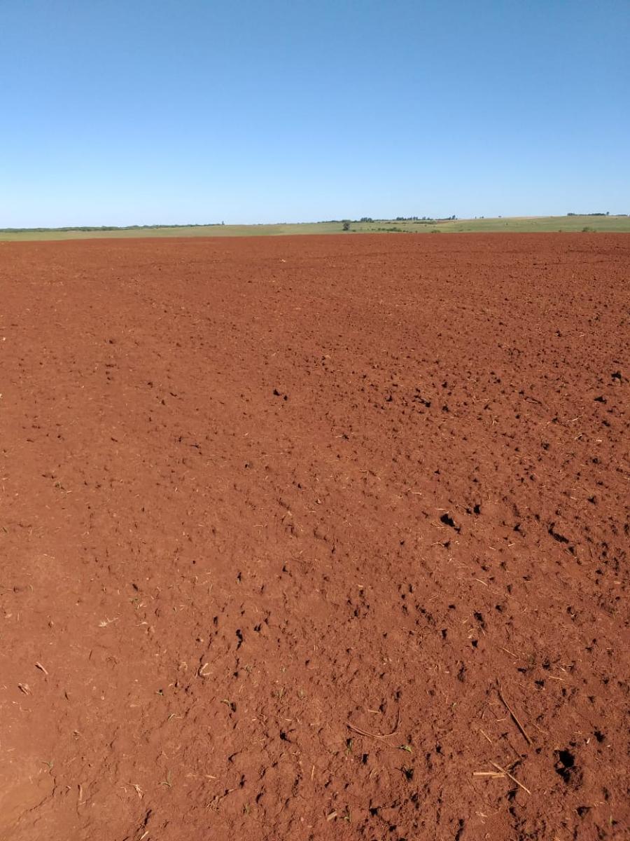 Fazenda com 950 ha a venda