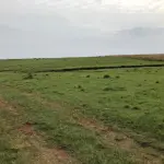 FAZENDA DE 2.144 HA A VENDA