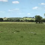 FAZENDA DE 2.144 HA A VENDA