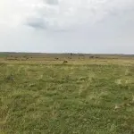 FAZENDA DE 2.144 HA A VENDA