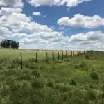 FAZENDA DE 2.144 HA A VENDA