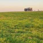 FAZENDA DE 2.124 HA A VENDA