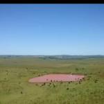2.700 HA A VENDA