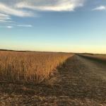 2.700 HA A VENDA