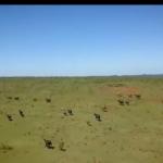 2.700 HA A VENDA